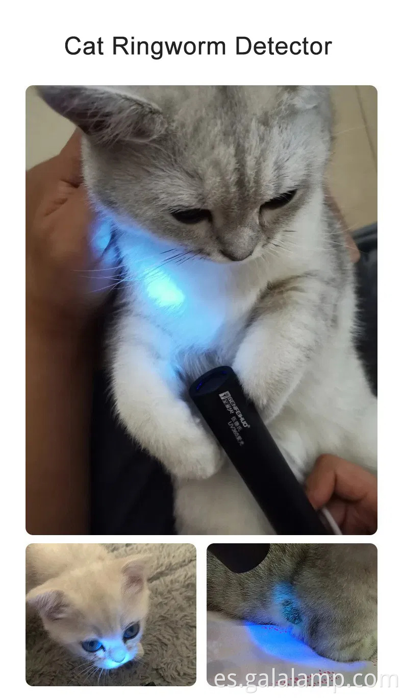 Linterna UV de 365 nm portátil con luz negra recargable y 5 modos